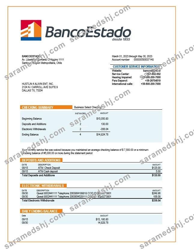 Banco del Estado de Chille organization statement Word and PDF template